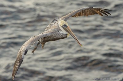 2011_10_01_03_10_06_NIKON D700_29028_WEB.jpg
