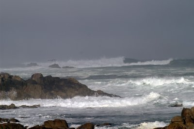 central_coast_jan_2012