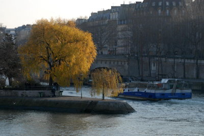 Tip of island in Seine, Paris
