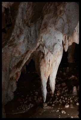 Grotte di Toirano