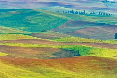 Palouse Landscapes