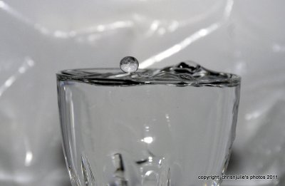 _CDW4354.JPG