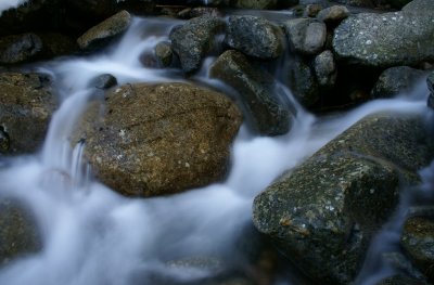 g4/87/808087/3/91155459.RDlBXdqT.jpg