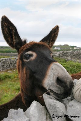 Inisheer