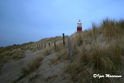 Faro