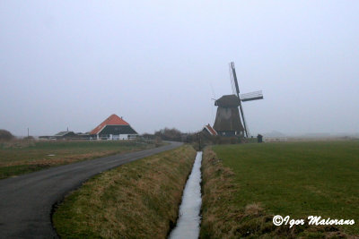 Mulino