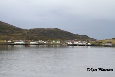 Kongsfjord