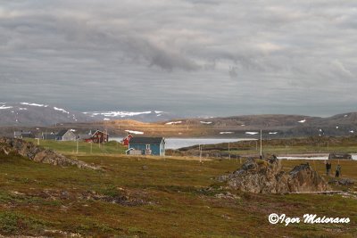 Kongsfjord