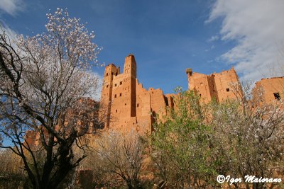 Kasbah Tamdaght