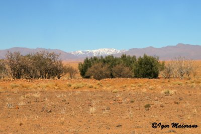 Thagdilt track