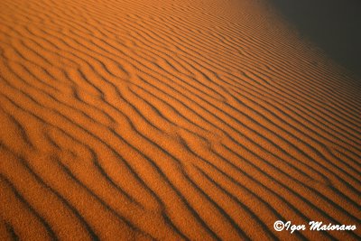 Merzouga