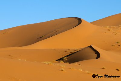 Merzouga