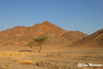 Desert between Marsa Alam and Aswan