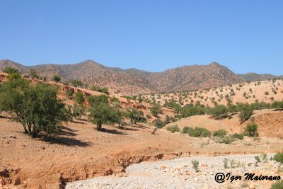 Valle del Souss - Souss valley