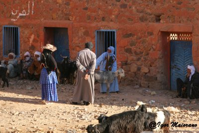 Mercato delle capre - Goat market