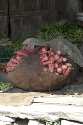 Radishes
