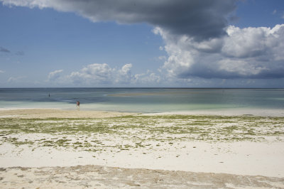 Pawani beach