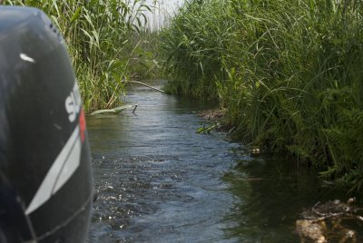 Danube Delta