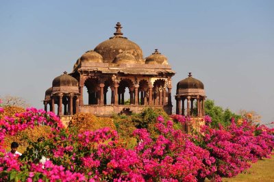 Forts, Forests, Folks of Rajasthan - Dec 2011