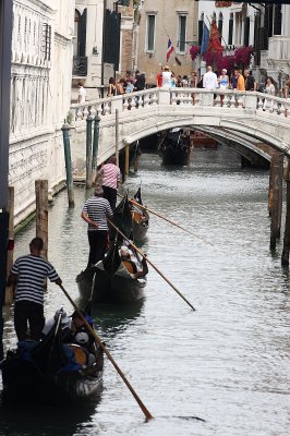 Venice 2011