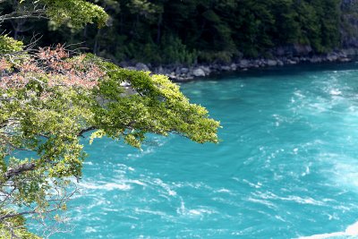 Petrohue river