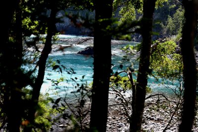 Petrohue river