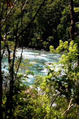 Petrohue river