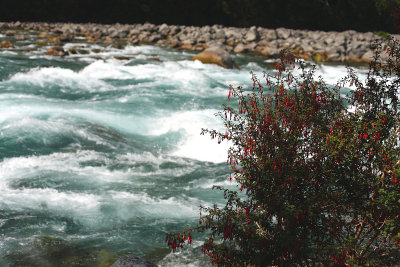 Petrohue river