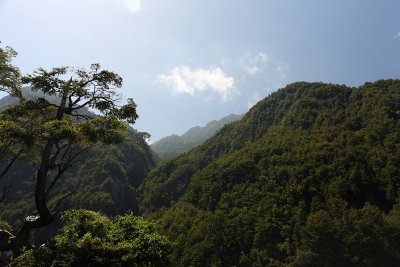 Vicente Perez Rosales National Park