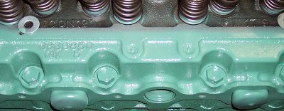 Tims 261 3836850 head 01.jpg