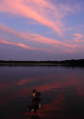 sunset at lake ronkonkoma