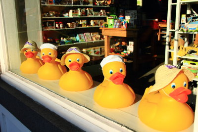 Rubber Duckies in a Row