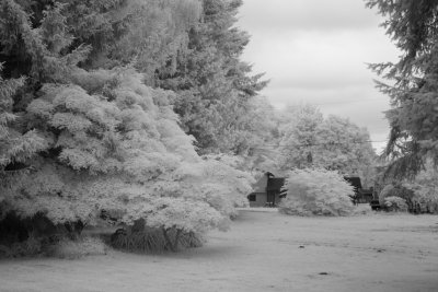Photos in InfraRed