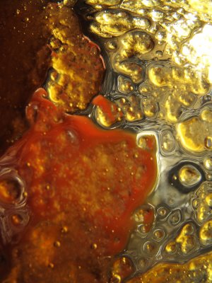 Honey in the glass (IMG_0025ok.jpg)