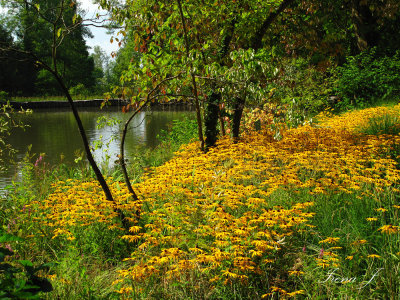 Arboretum Volji potok (IMG_3172 copy.jpg)