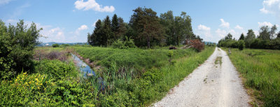Ljubljansko barje (Panorama 1ok.jpg)