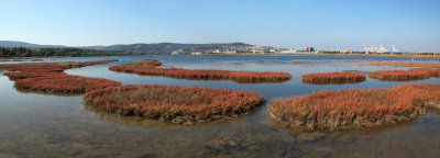 Koper - view from Zatok (Panorama 22ok2.jpg)