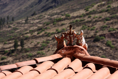 House guard on the roof - Peru (IMG_2488ok.jpg)