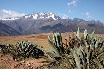Peru - Andi (IMG_2536ok.jpg)