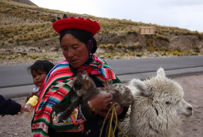 Mrs. with a baby, alpaka and lama - Peru (IMG_3231ok.jpg)