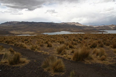Landscape in Peru (IMG_4060ok.jpg)