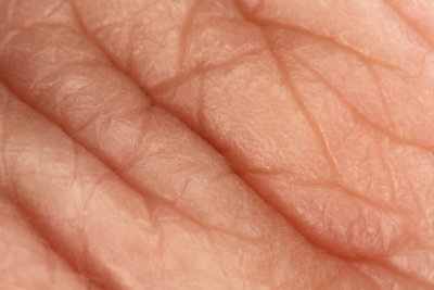 Skin on the finger knuckle (IMG_3917m.jpg)