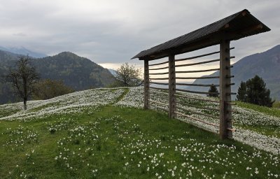 g4/87/976887/3/143163953.wYQMNIAR.jpg