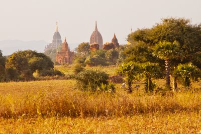 g4/87/979987/3/132698567.jAaCEMHI.jpg