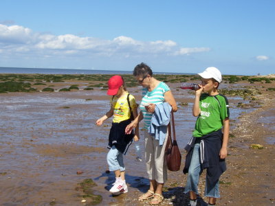 g4/87/986887/3/134468637.NZ9aP7yX.jpg