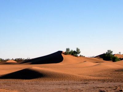 Pierwszy widok na Sahare, ta piaszczysta.