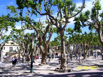 Plac des Lices w St. Tropez