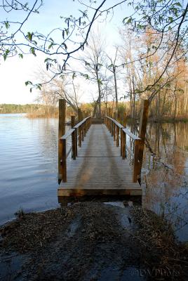 Floating_Bridge.jpg