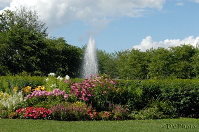 Sagamore Garden.jpg