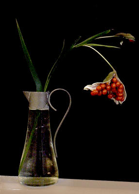 iris pod